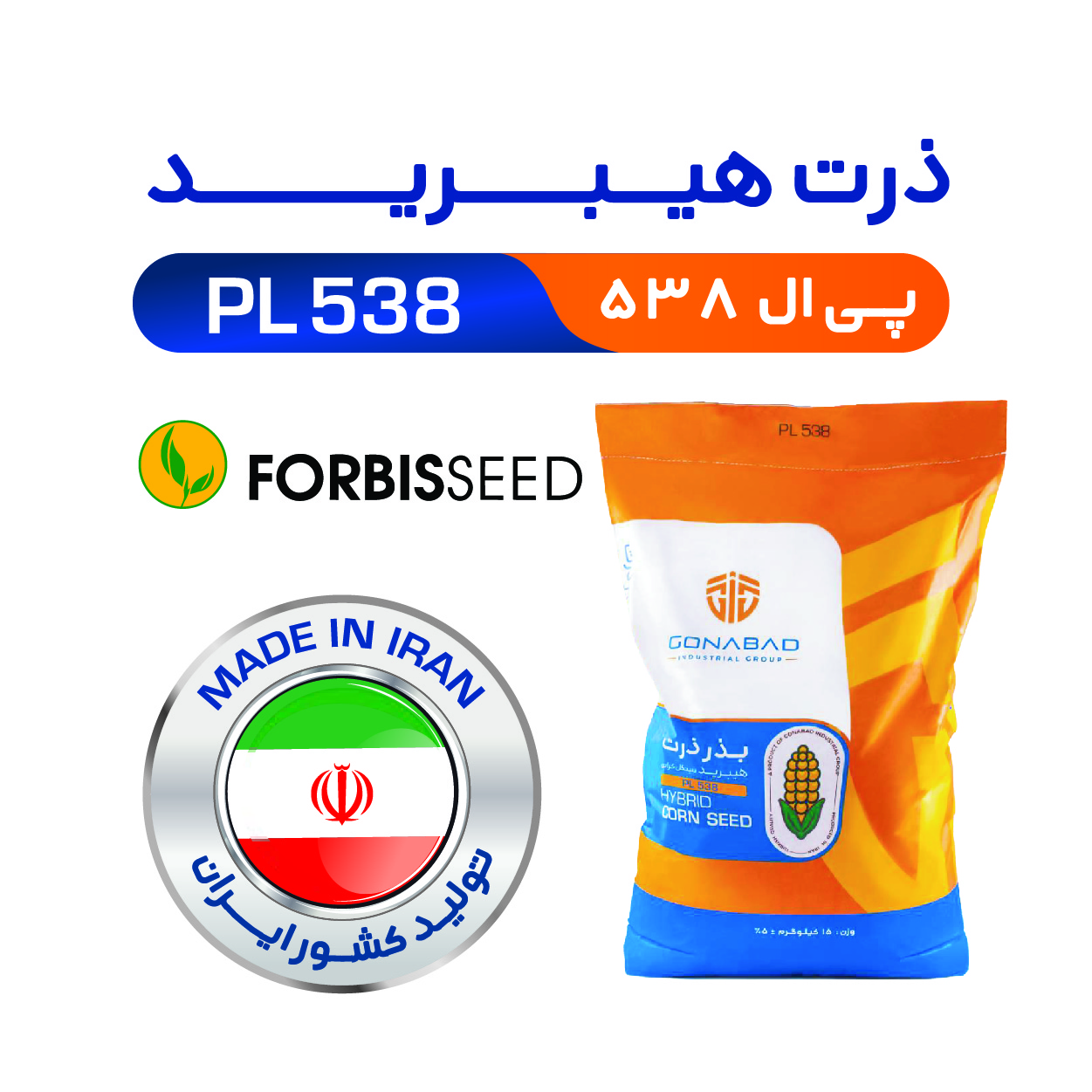بذر ذرت هیبرید پی ال 538