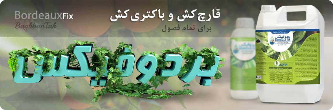 بردو فیکس