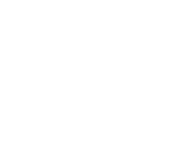شرکت ملی صنایع مس ایران