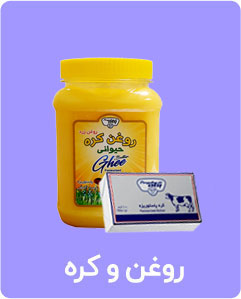 Dairy Powder