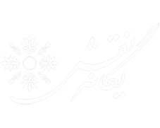 یگانه نقش خاورمیانه (واترجت یگانه نقش)