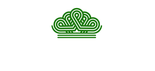 پارسوماش سرمایه سپاهان