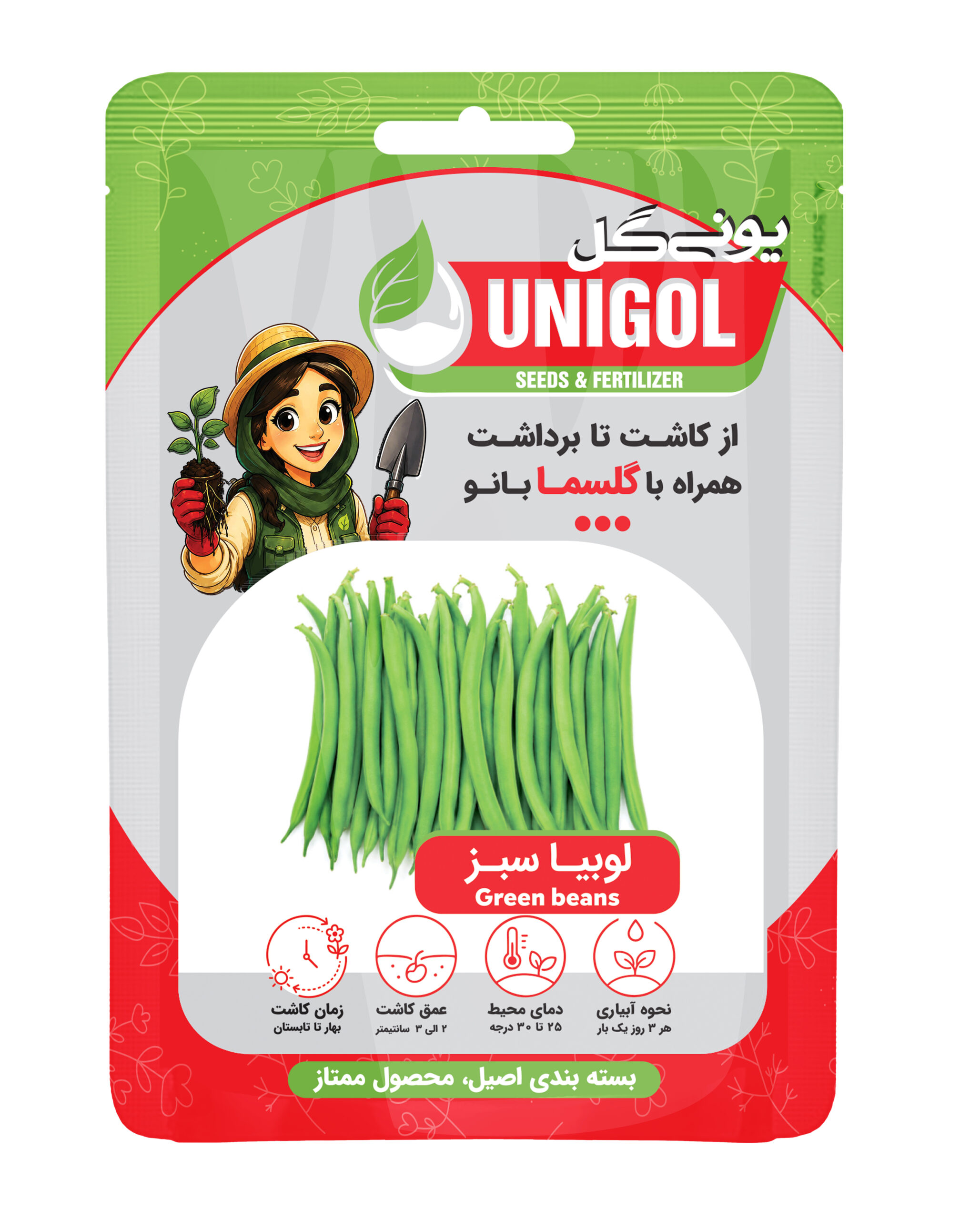بذر لوبیا سبز