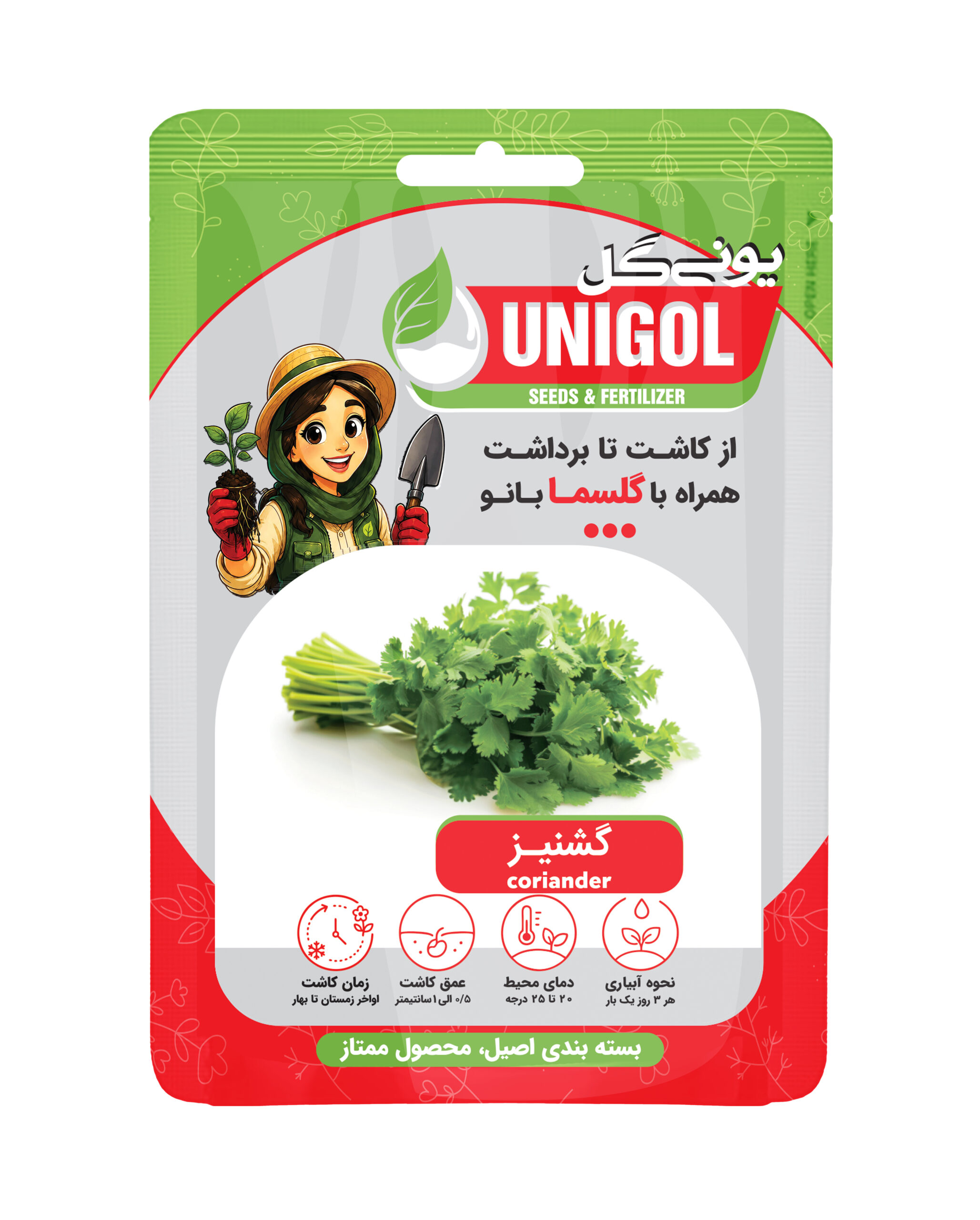بذر گشنیز