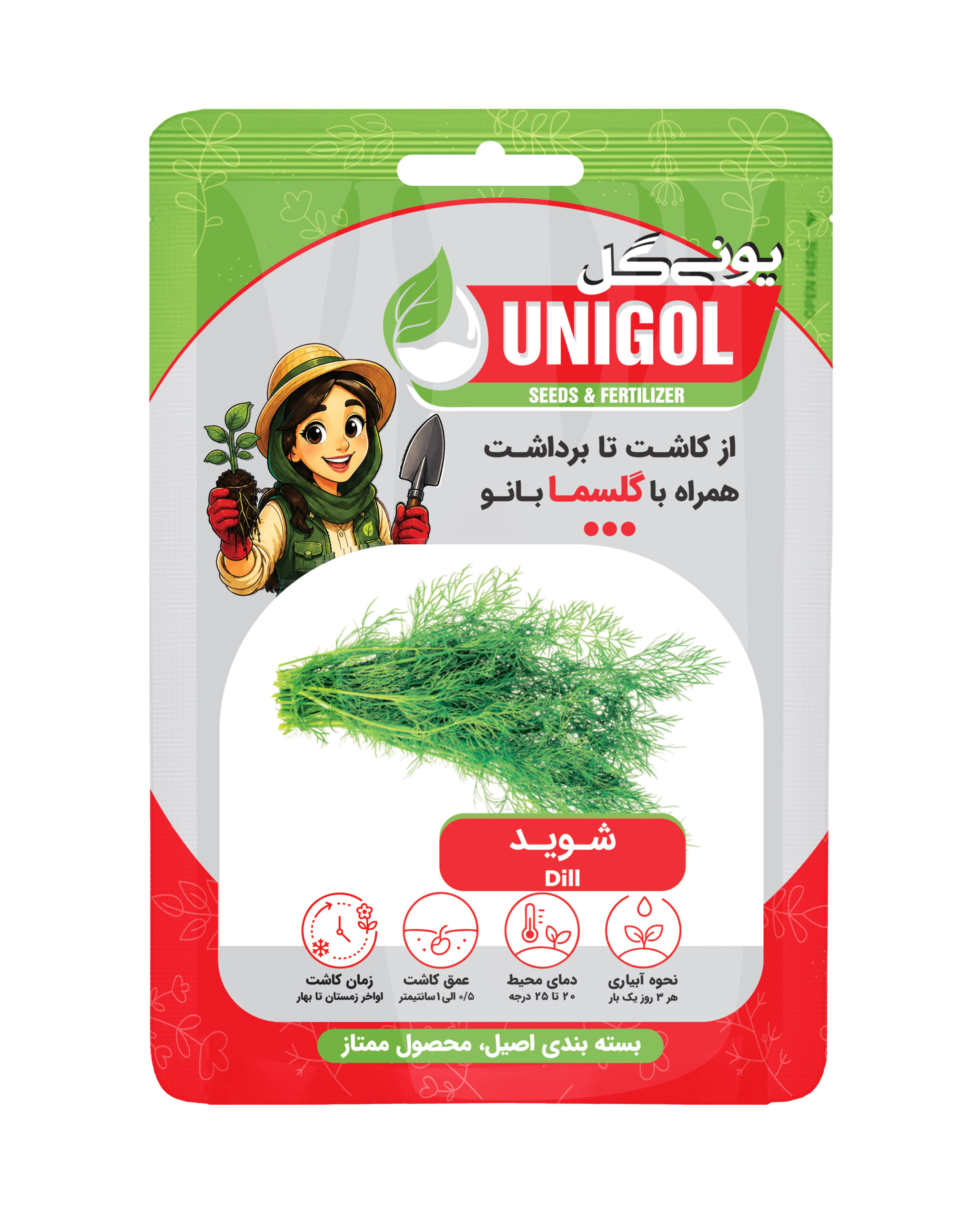 بذر شوید