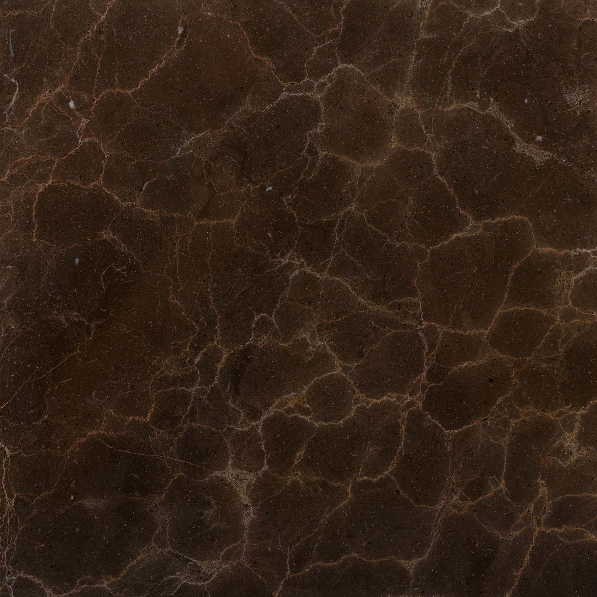 Amarone Marble - Brown marble Sadafkooh Stone Group