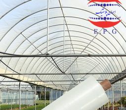 پلاستیک گلخانه سبز مستقیم از تولید کننده